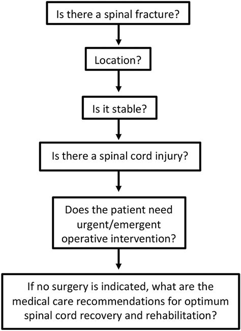 Frontiers | Management of Acute Traumatic Spinal Cord Injury: A Review