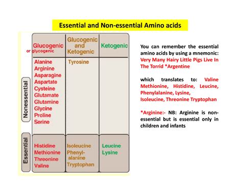solution  biochemistry biosynthesis   essential amino acids
