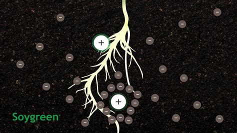 How Chelation Works In Agriculture Youtube