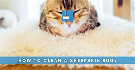 how to clean sheep rug