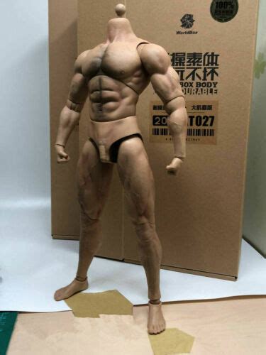 Worldbox At Durable Body Ripped Body Male Figure Fit Hot Toys Phicen Head Ebay