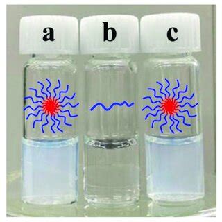 digital photographs  aqueous solutions  polymer   polymer
