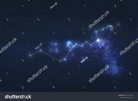 Hydra Constellation Stars Outer Space Hydra Stock Photo 1646312881 ...