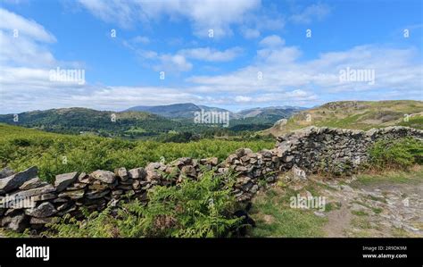 Lake District Landscape Around Ambleside Windemere And Grasmere Walk