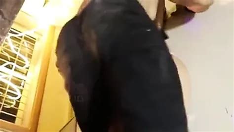 Masti Porn Videos Xhamster