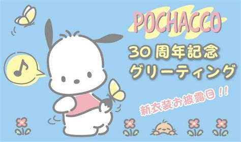 Pochacco 30th Anniversary Sanrio Wallpaper Sanrio Hello Kitty