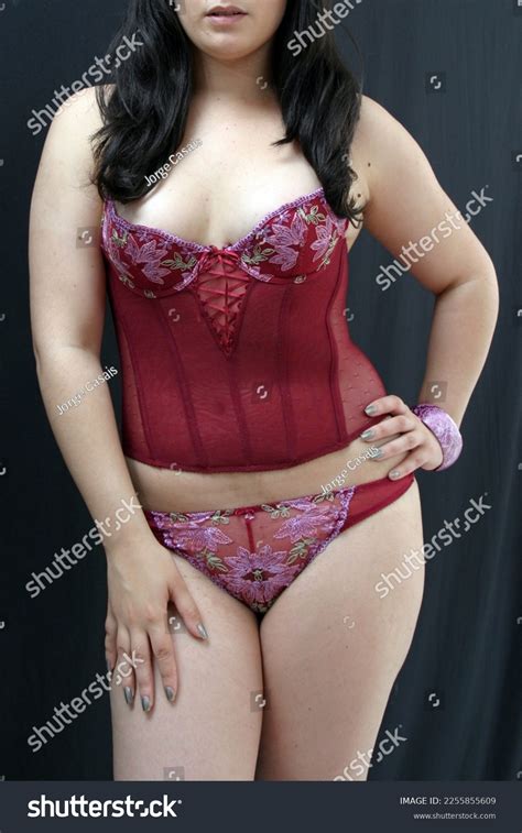 Attractive Sexy Woman Lingerie Stock Photo 2255855609 Shutterstock