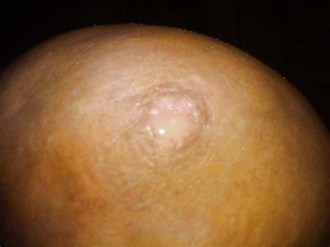 Fantasies Porn Pictures Xxx Photos Sex Images Pictoa