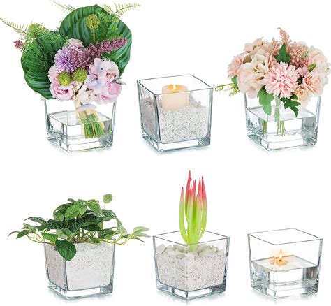 Square Glass Vase For Flowers Glasseam 5 Inch Cube Flower Vase Set Of 6 Clear Small Vases For