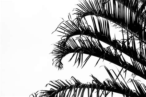 Top 999 1920 X 1080 Simple Wallpaper Full Hd 4k Free To Use