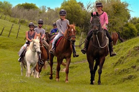 Rotorua Horse Trek With Magnificent Lake Views And Nz Bush