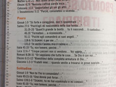 Y Bibbia Bibbia Dei Giovani Della Chiesa Cattolica 13