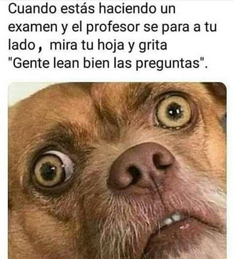 Cuando Estás Haciendo Un Examen Y El Profesor De Para A Tu Lado Mira