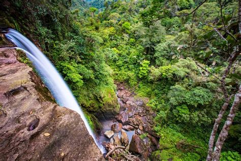 Conoce la belleza de la selva amazónica de Colombia Mi Viaje