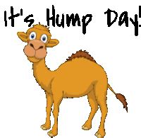 Happy Hump Day Camel Meme