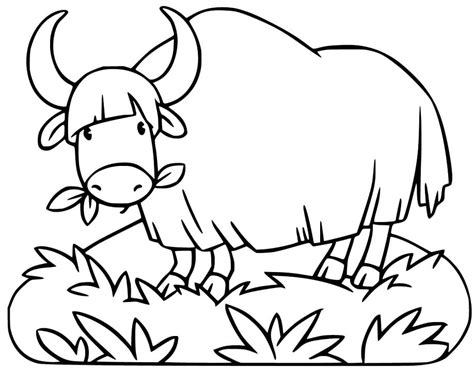 31 Best Ideas For Coloring Yak Coloring Page Free Printable