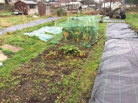 How To Lay Membrane In Garden Fasci Garden