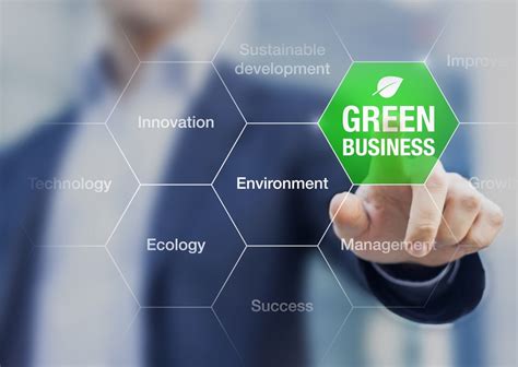 Top 9 Green Business Ideas For Startup Entrepreneurs