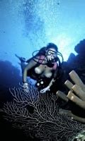 Nude Scuba And Skin Diving Page 11 Vintage Erotica Forums