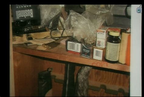 Jodi Arias Autopsy Photos: The Key Pieces of Evidence - wtoilpa