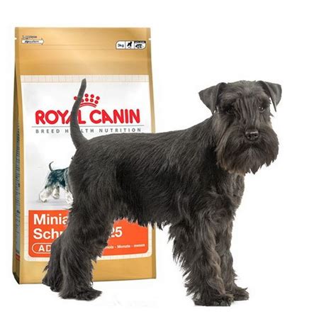 Кормление цвергшнауцера. Особенности рациона веселого бородача. - Клуб ...