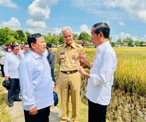 Koalisi Mempertimbangkan Jalur Khusus Prabowo Ganjar Politics The