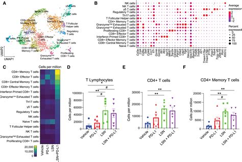 Aurora A Kinase Inhibition Induces Accumulation Of Sclc Tumor Cells In