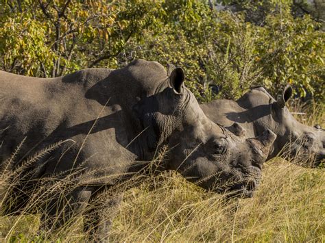 What Happens When Aidan Returns Sex And The City Reboot Parade