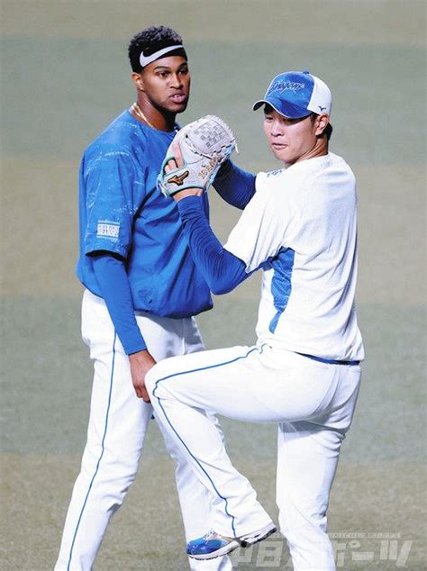 中日―広島 高橋宏とマルティネス：中日スポーツ・東京中日スポーツ