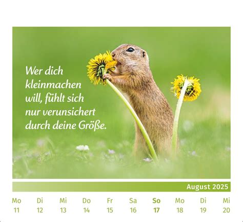 Kalender Pal Der Lebensfreude Tischkalender Online Kaufen