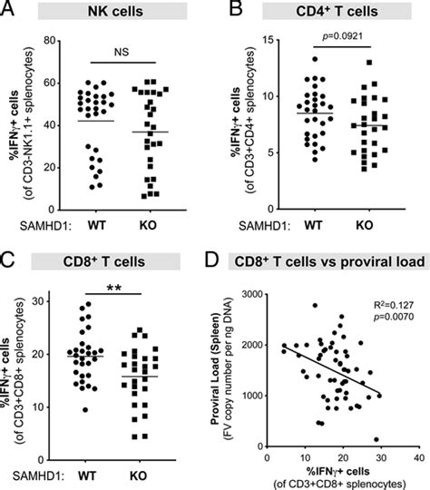 Samhd1 Promotes The Antiretroviral Adaptive Immune Response In Mice