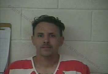 Knox County Busted Newspaper: What We Learned From the Investigation - ciji3y0