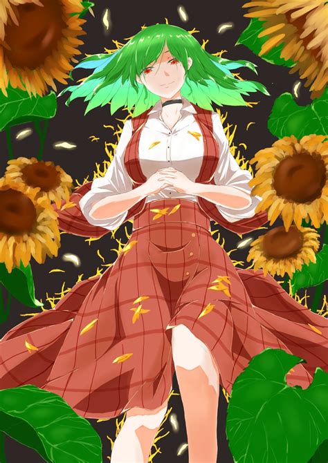 Twitter Kazami Yuuka Touhou Project Touhou Тохо