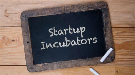 Quali Sono I Principali Incubatori Per Start Up In Italia Ndv