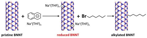 5 The Schematic Illustration Of 1 Bromohexane Assisted Covalent Download Scientific Diagram