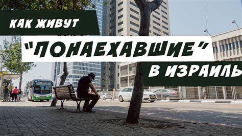 Как живут те, кто уехали из РФ и Украины в Израиль. - YouTube