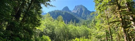 Snoqualmie, Deer Lake, Bear Lake and Dorothy Lake via Taylor River Trail: 17 Reviews, Map ...