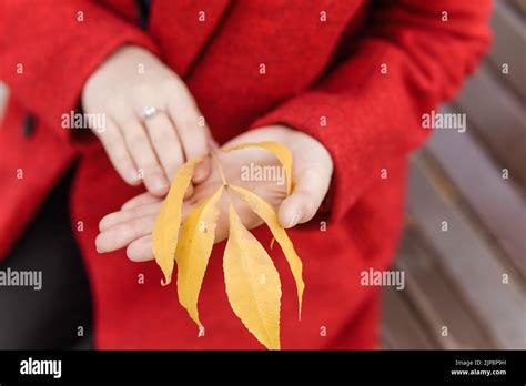 Une jeune femme blonde se promène dans la ville d automne sous un manteau rouge Le concept de