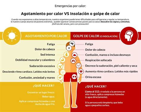 Cuales Son Los Mecanismo Que Se Alteran En La Temperatura Corporal De