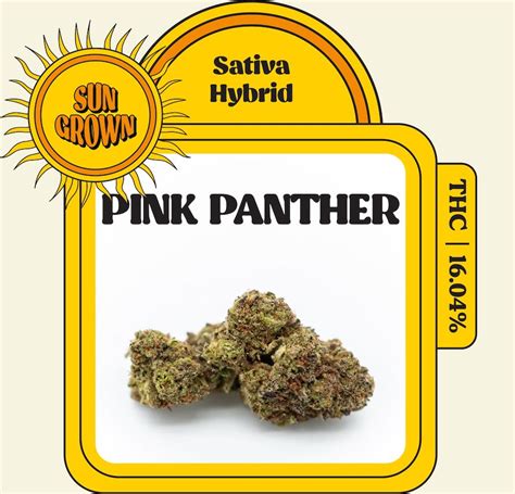 Pink Panther Strain Kush House