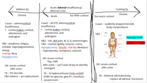 Ped S Endocrine Flashcards Quizlet