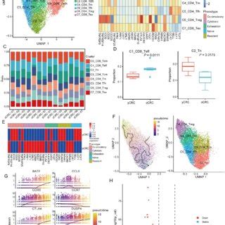 Features And Heterogeneity Of T Cell Subtypes In Ycrc And Ocrc A