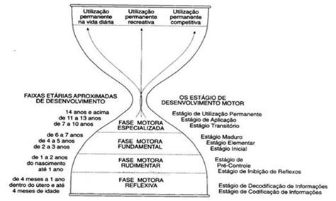 Fases Do Desenvolvimento Motor