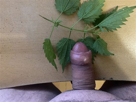 Meine Bilder 8 Nude Pics XHamster