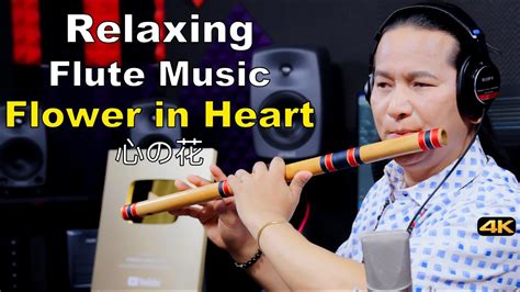 Flute Music Relaxing Flute Music Flute Solo Bansuri Song Basuri