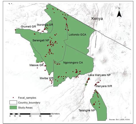 Serengeti National Park Msalato Travel Services