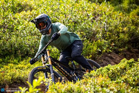 pivot phoenix     downhill bike comparison test