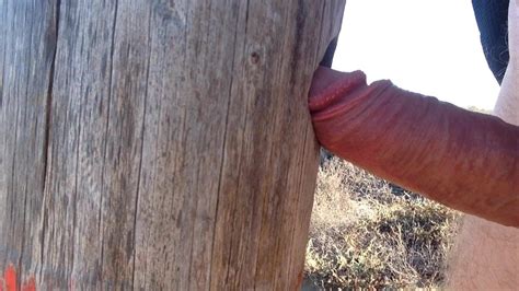 Free Beach Boner Gay Porn Videos Xhamster