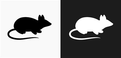 Mouse Icon On Black And White Vector Backgrounds Stock Illustration