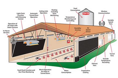 Precautions for using the automatic chicken feeder - Poultry Farming cage